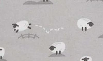 Magnetic Me Baa Baa Baby Magnetic Footie, Bib & Blanket Gift Set In Gray