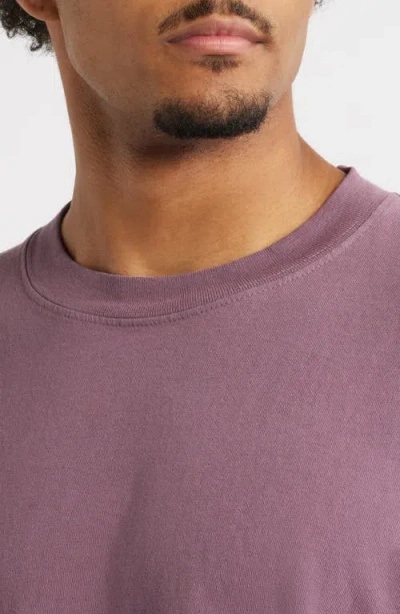 Obey Rose Long Sleeve Cotton Graphic T-shirt In Pink