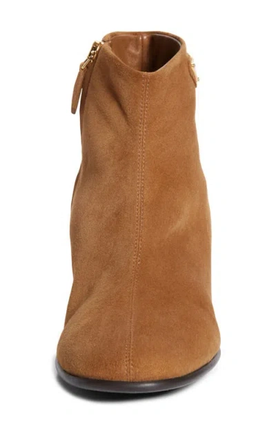 Prada Block Heel Bootie In Brown