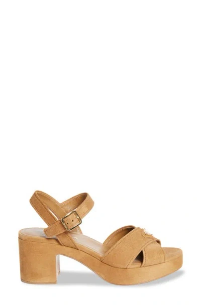 Prada Triangle Suede Platform Sandals In Brown