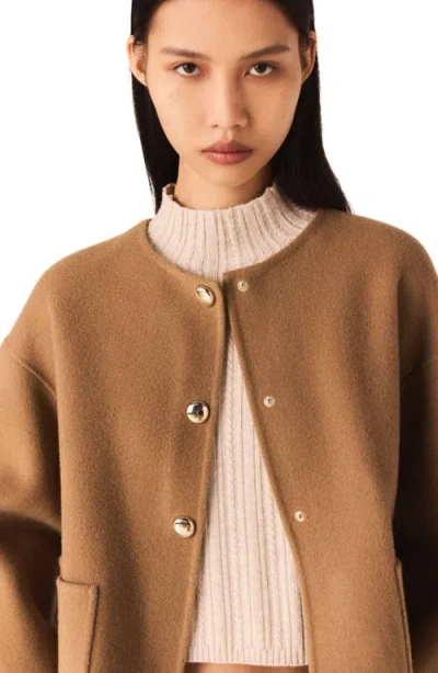 Maje Double-faced Coat With Removable Collar In Brown