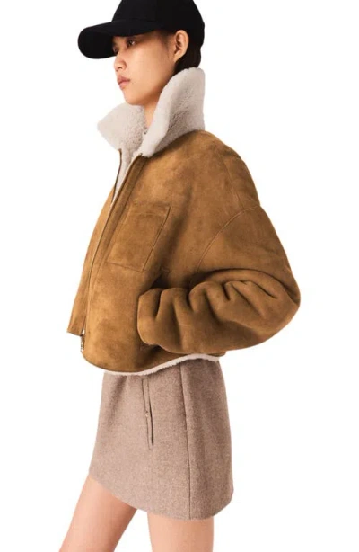 Maje Shearling-collared Jacket In Brown