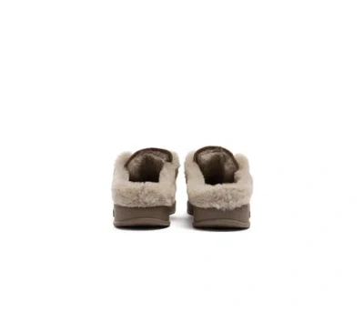 P448 Monaco Sneaker In Brown