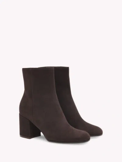 Gianvito Rossi Boots Joelle In Brown