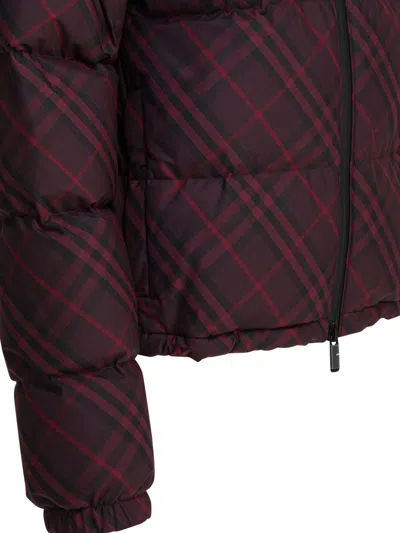 Burberry Jackets & Coats In Burgundy