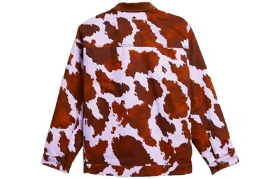 Adidas Originals (wmns)  X Ivy Park French Terry Denim 'cow-print' In Red