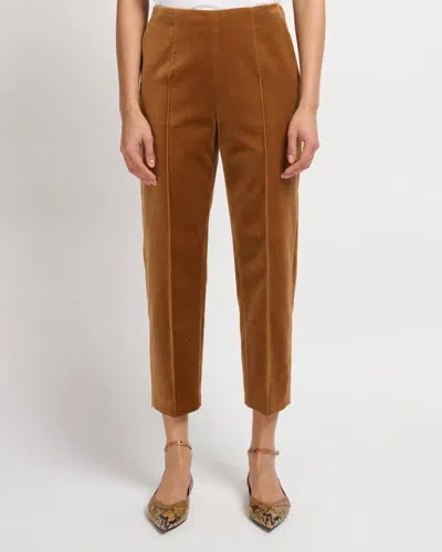 Marni Cotton Velvet Straight Leg Pants In Brown