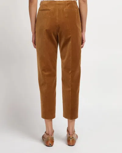 Marni Cotton Velvet Straight Leg Pants In Brown