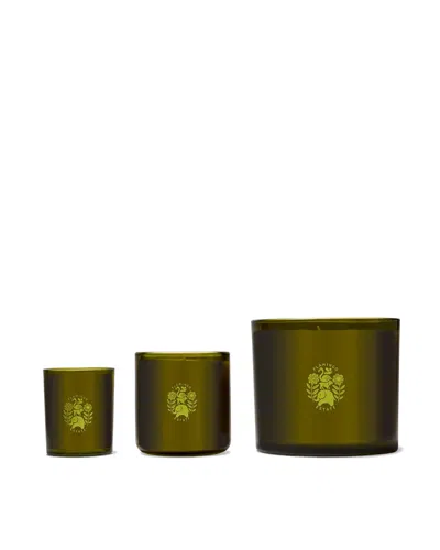 Flamingo Estate Douglas Fir & Ancient Vetiver Candle In Green