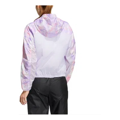 Adidas Originals (wmns) Adidas Met Aop Windbreaker 'purple'