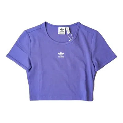 Adidas Originals (wmns)  Essential Ribbed T-shirt 'purple'