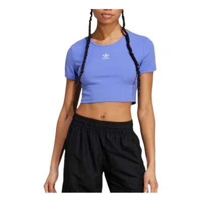 Adidas Originals (wmns)  Essential Ribbed T-shirt 'purple'