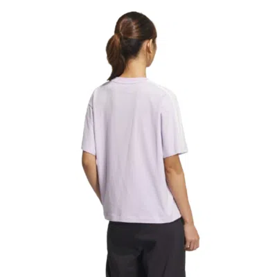 Adidas Originals (wmns) Adidas Lunar New Year T-shirt 'purple' In Gray