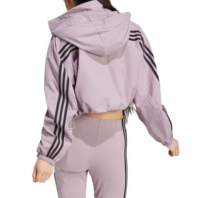 Adidas Originals (wmns) Adidas Future Icons 3-stripes Wind.rdy Jacket 'purple Black'