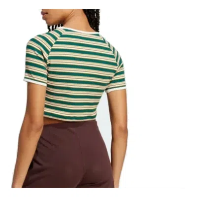 Adidas Originals (wmns) Adidas '80s Rib Stripe Baby T-shirt 'green Yellow' In Multi
