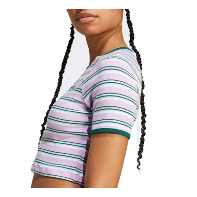 Adidas Originals (wmns) Adidas '80s Rib Stripe Baby T-shirt 'pink White' In Multi