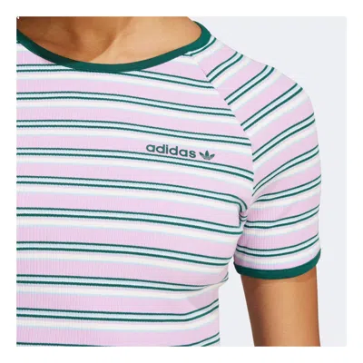 Adidas Originals (wmns) Adidas '80s Rib Stripe Baby T-shirt 'pink White' In Multi