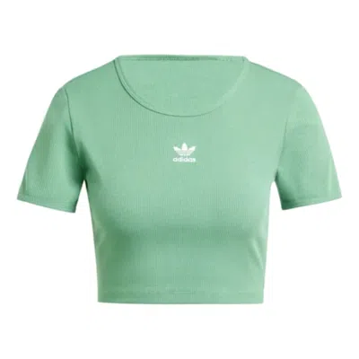 Adidas Originals (wmns)  Essential Ribbed T-shirt 'green White'
