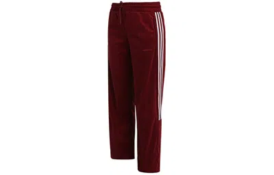 Adidas Originals (wmns) Adidas Neo Cs Tp Velour Pants 'red White' In Burgundy