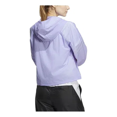 Adidas Originals (wmns) Adidas Aop Wb Zip Up Hoodie 'purple' In Pink