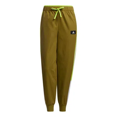 Adidas Originals (wmns) Adidas Str Pt Cargo Colorblock Training Sports Long Pants/trousers Brown In Green