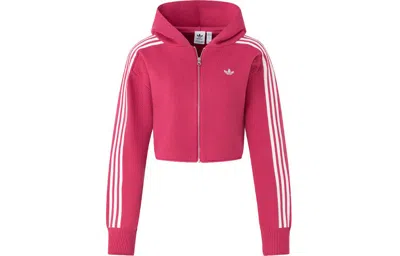 Adidas Originals (wmns)  Premium Zipper Hoodie Asia Sizing 'pink'