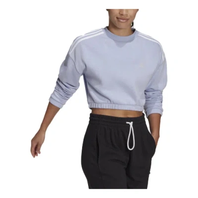 Adidas Originals (wmns) Adidas Crop Crew Loose Round Neck Long Sleeves Hoodie Purple