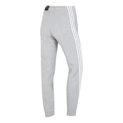 Adidas Originals (wmns) Adidas Future Icons 3-stripes Pants Asia Sizing 'grey' In Gray