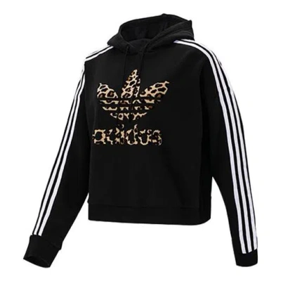 Adidas Originals (wmns) Adidas Atmos Crazy Animal Ii Jacket 'black Yellow'