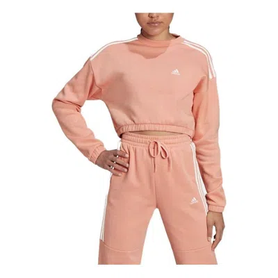Adidas Originals (wmns) Adidas Hyperglam Crop Crew Sweatshirts 'pink' In Brown