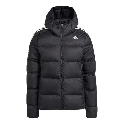 Adidas Originals (wmns) Adidas Essentials Midweight Down Hooded Jacket 'black'