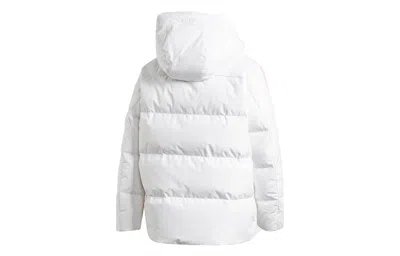 Adidas Originals (wmns) Adidas Puff Down Jkt Sports Down Jacket White In Multi