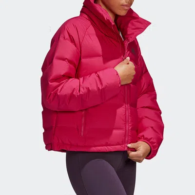 Adidas Originals (wmns) Adidas Helionic Relaxed Fit Down Jacket 'bold Pink'