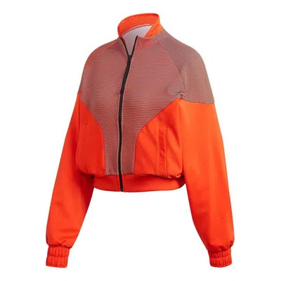 Adidas Originals (wmns) Adidas Cover Up Jacket Orange/yellow/black