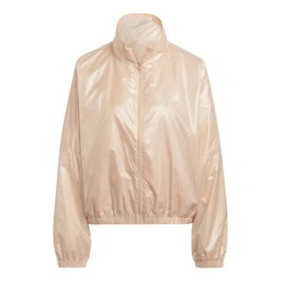 Adidas Originals (wmns) Adidas Wvn Jacket W Logo Printing Bright Sports Stand Collar Yellow In Neutral