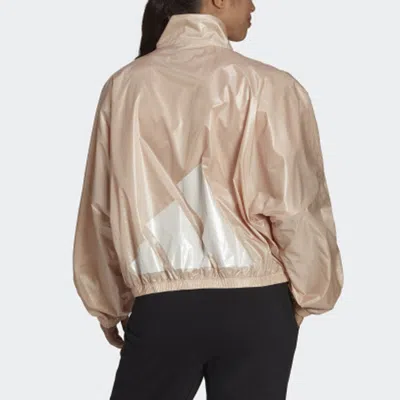 Adidas Originals (wmns) Adidas Wvn Jacket W Logo Printing Bright Sports Stand Collar Yellow In Neutral