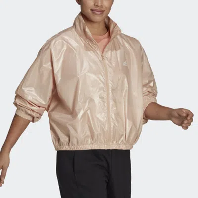 Adidas Originals (wmns) Adidas Wvn Jacket W Logo Printing Bright Sports Stand Collar Yellow In Neutral