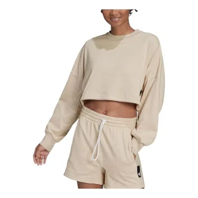 Adidas Originals (wmns) Adidas Sportswear Studio Lounge Summer Crew Sweatshirt 'beige' In Neutral