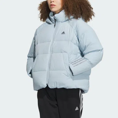 Adidas Originals (wmns) Adidas Dy Goose Down Jacket 'blue'