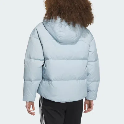 Adidas Originals (wmns) Adidas Dy Goose Down Jacket 'blue'