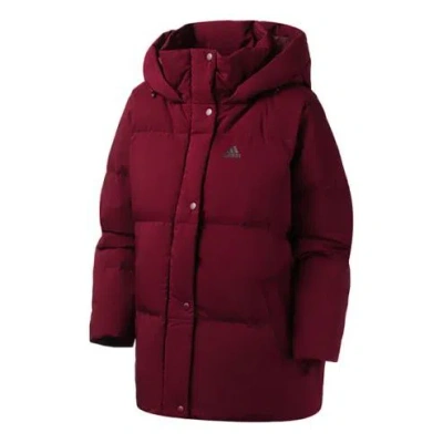 Adidas Originals (wmns) Adidas Outdoor Short Hooded Down Jacket Purple In Burgundy