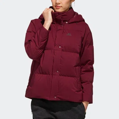 Adidas Originals (wmns) Adidas Outdoor Short Hooded Down Jacket Purple In Burgundy