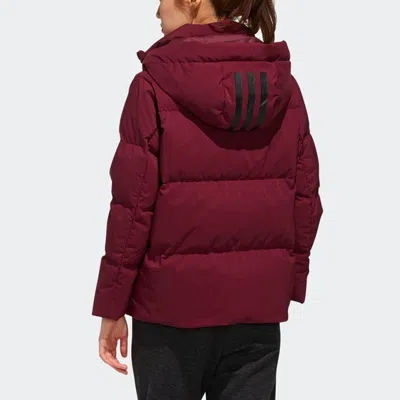 Adidas Originals (wmns) Adidas Outdoor Short Hooded Down Jacket Purple In Burgundy