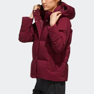 Adidas Originals (wmns) Adidas Outdoor Short Hooded Down Jacket Purple In Burgundy