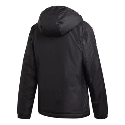 Adidas Originals (wmns) Adidas Essentials Insulated Hooded Jacket Asia Sizing 'black White' In Multi