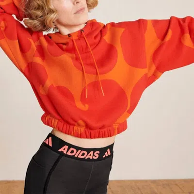 Adidas Originals (wmns) Adidas X Marimekko Crop Hoodie 'orange'