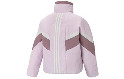 Adidas Originals (wmns) Adidas Neo Down Jackets 'pink' In Multi