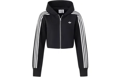 Adidas Originals (wmns)  Premium Zipper Hoodie Asia Sizing 'black'