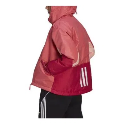 Adidas Originals (wmns) Adidas Performance  Back To Sport Insulated Jacket Asia Sizing 'red'