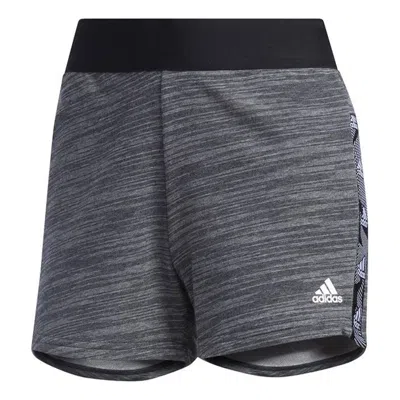 Adidas Originals (wmns) Adidas Sportswear Tpe Shorts 'black' In Gray